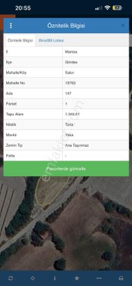 Sahibinden Manisa Görsel Zeytinlik