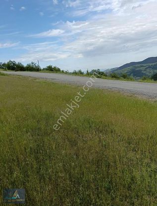 Samsun Alaçam Da 4465 M2 Satılık Tarla
