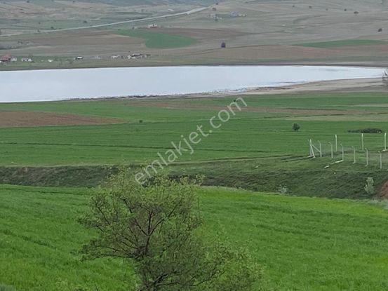 Sivas Ars Den Bingöl Köyünde Göl Manzaralı Bahçe