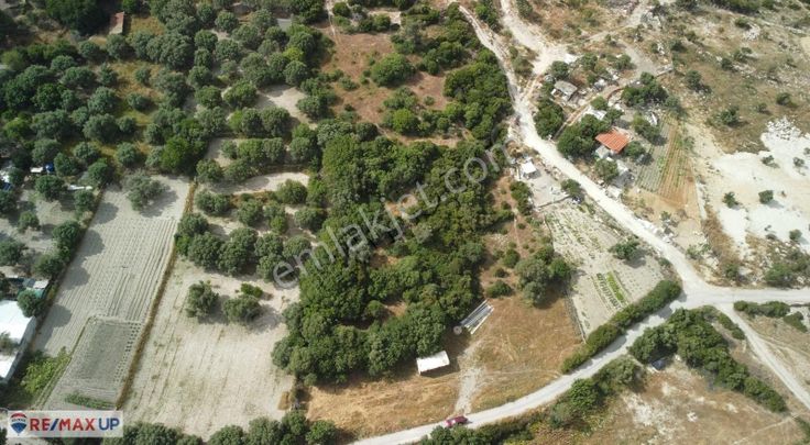 Çeşme Çakabeyde 9.100 M² Dev Yatırım Fırsatı