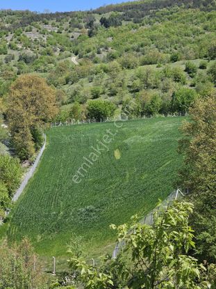 Kavak Göçebe De Divanbaşı Göletine Yakın Satılık Arazi