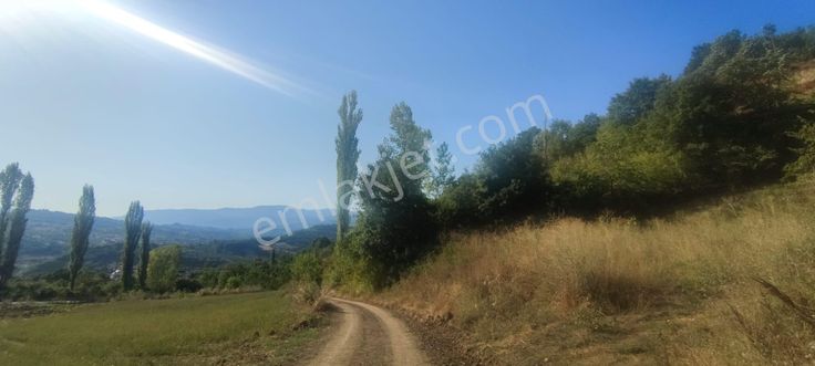 Roma' Dan Gündüzlü Mahallesi' Nde Satılık Tarla