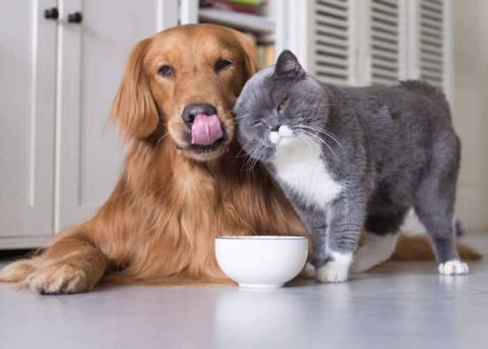 haber detay ana görsel