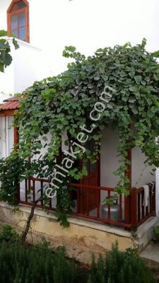 Mersin Bozyazi Satilik Daire Ilanlari Ve Mersin Bozyazi Kiralik Ev Fiyatlari
