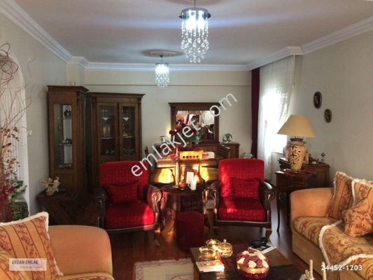 Dekoratif Terek Modelleri Ve Fiyatlari