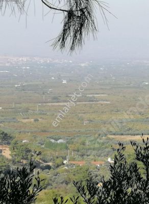 Izmir Kemalpasa Satilik Tarla Gayrimenkul Ilanlari