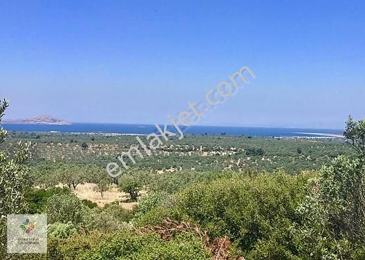 Canakkale Satilik Arsa Tarla Bahce Fiyatlari Ilanlari Hurriyet Emlak