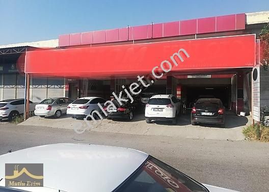 Online Arac Kiralamada Dogru Adres Cizgi Rent A Car