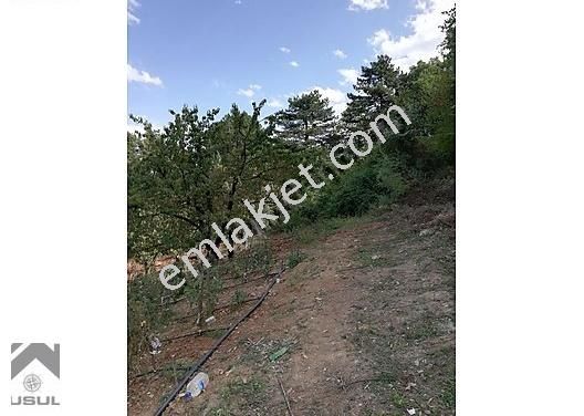 Bursa Sevket Emlak A S Emlak Ilanlari Sahibinden Com Da