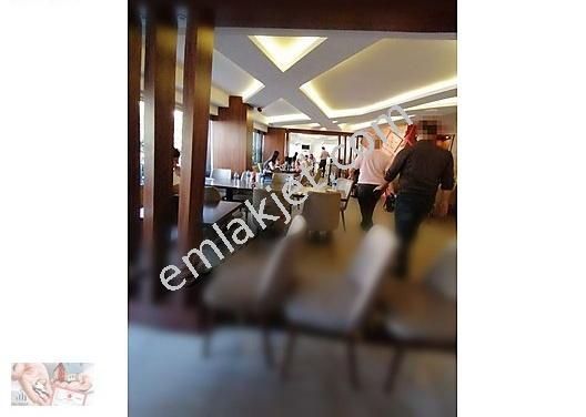 Bursa Bulasikci Is Ilanlari Eleman Arayan Firmalar Isin Olsun