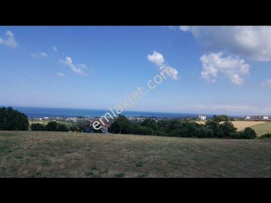 Samsun 19 Mayis Karagol Mah Satilik Tarla Ilanlari Ve Fiyatlari Acaremlak55 Com