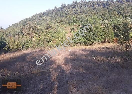 Bursa Iznik Satilik Ev Emlakjet