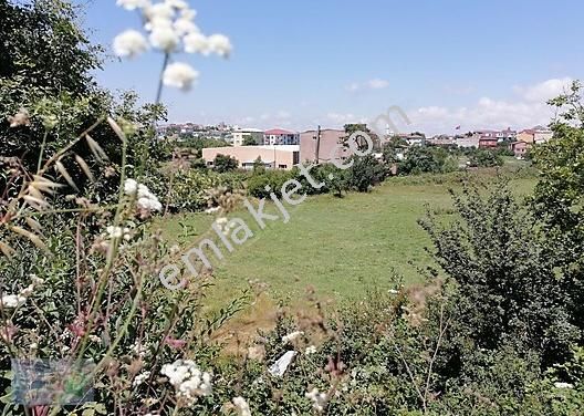 Istanbul Arnavutkoy Bogazkoy Istiklal Mahallesi Satilik Arsa Fiyatlari Ve Ilanlari