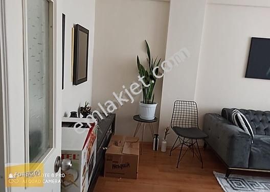 Eskisehir Odunpazari Gokmeydan Mahallesi Kiralik Daire Ilanlari Ve Satilik Ev Fiyatlari