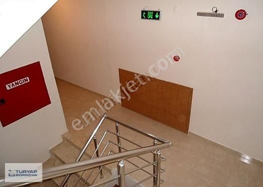 Izmir Bornova Mevlana Mahallesi Kiralik Daire Ilanlari Ve Kiralik Ev Fiyatlari