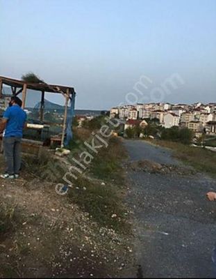 Istanbul Arnavutkoy Nenehatun Mahallesi Satilik Arsa Fiyatlari Ve Ilanlari