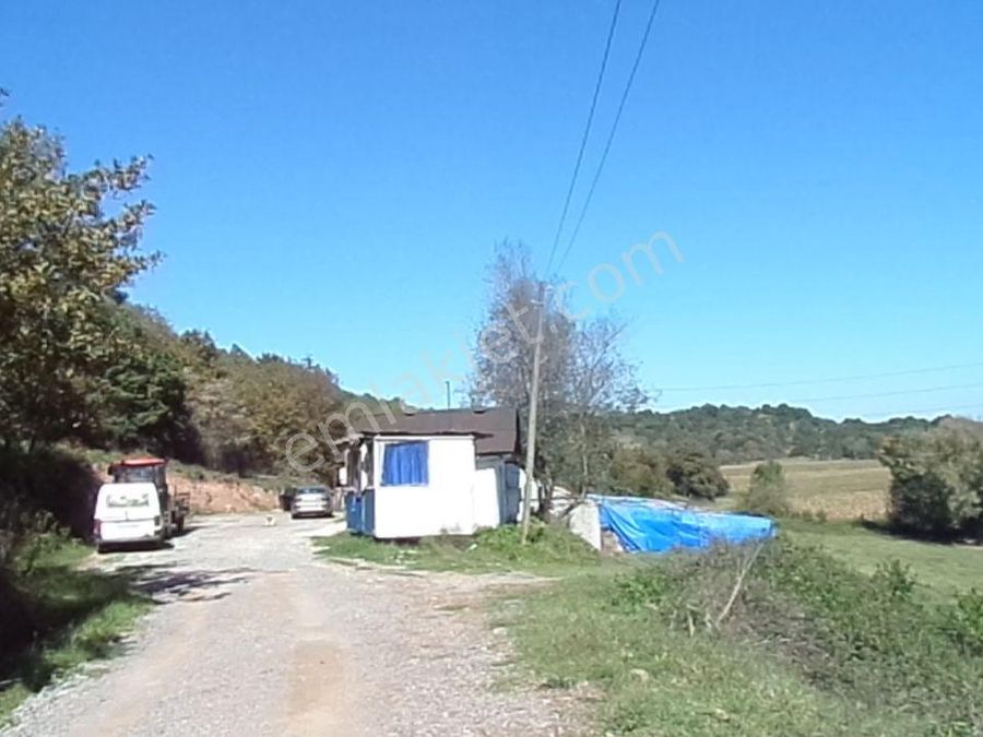 sakarya satilik ciftlik ilanlari ve fiyatlari sakarya satilik ciftlik ilanlari ve fiyatlari