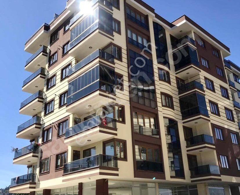 Rize Merkez Portakallik Mahallesi Kiralik Daire Ilanlari Ve Satilik Ev Fiyatlari
