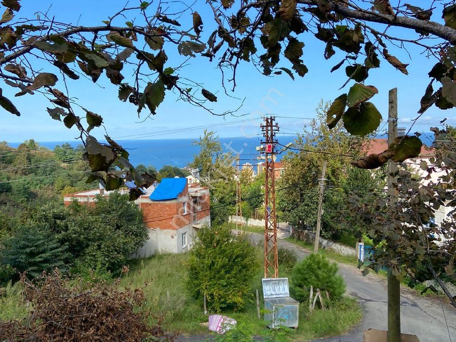 ordu fatsa satilik arsa fiyatlari ve ilanlari