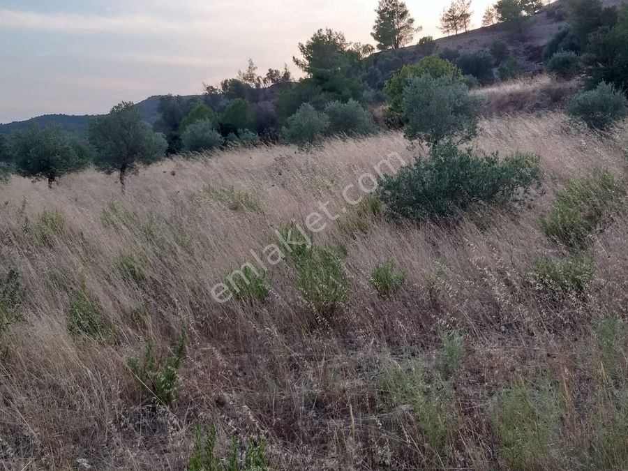 izmir seferihisar sahibinden satilik arsa emlakjet