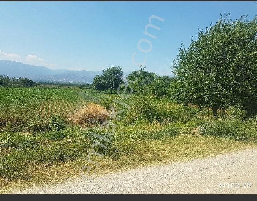 aydin yenipazar satilik arsa fiyatlari ve ilanlari