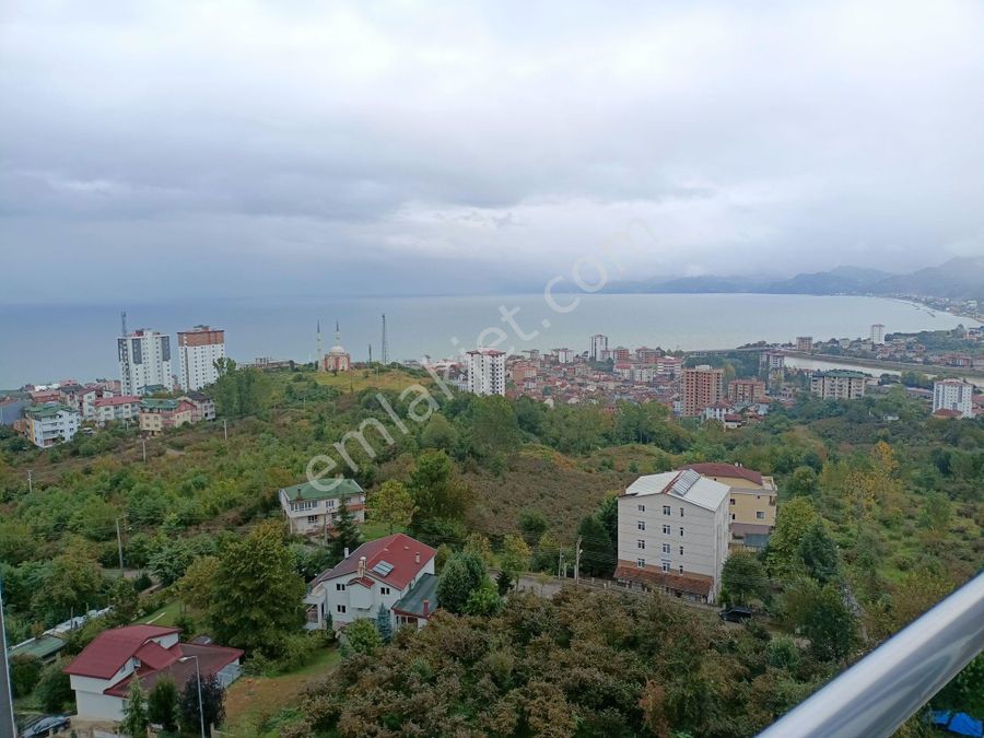 ordu satilik daire ilanlari ve ordu kiralik ev fiyatlari