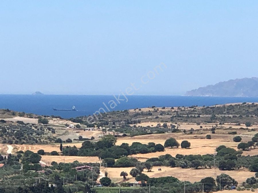 Izmir Cesme Musalla Mahallesi Kiralik Daire Ilanlari Ve Fiyatlari