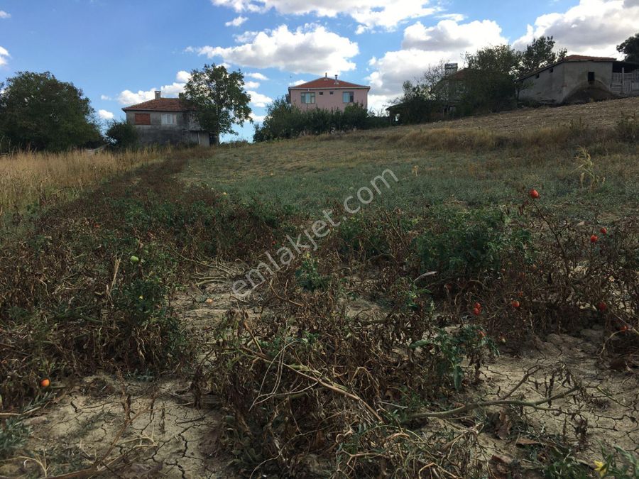 tekirdag satilik koy evi ilanlari ve fiyatlari tekirdag satilik koy evi ilanlari ve fiyatlari