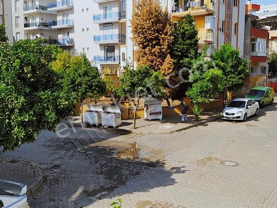 Aydin Efeler Kurtulus Mahallesi Kiralik Daire Ilanlari Ve Satilik Ev Fiyatlari