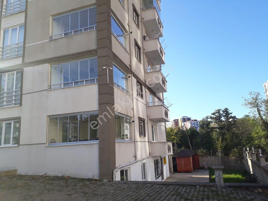 Ordu Fatsa Sakarya Mahallesi Kiralik Daire Ilanlari Ve Satilik Ev Fiyatlari