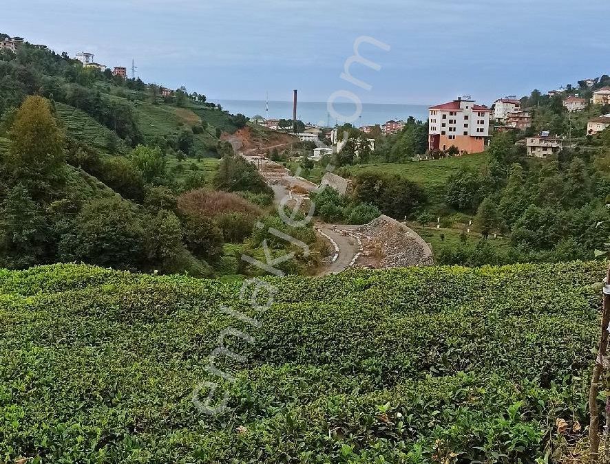 sahibinden satılık çay bahçesi