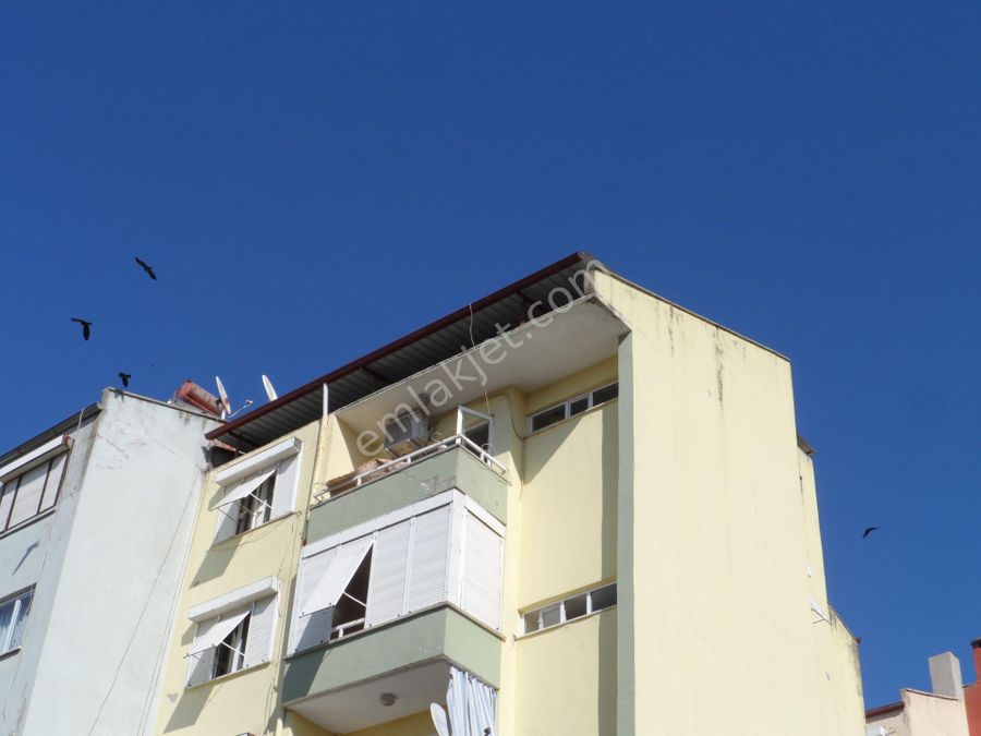 Aydin Nazilli Karacay Mahallesi Kiralik Daire Ilanlari Ve Satilik Ev Fiyatlari
