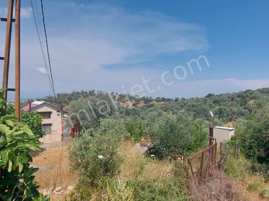 Izmir Menderes Satilik Mustakil Ev Ilanlari Ve Fiyatlari