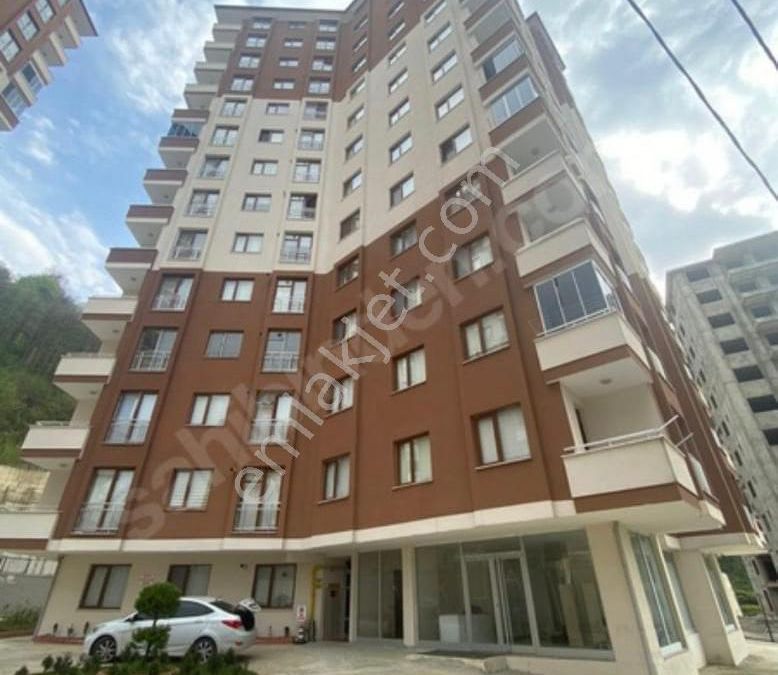 Rize Merkez Muftu Mahallesi Kiralik Daire Ilanlari Ve Satilik Ev Fiyatlari