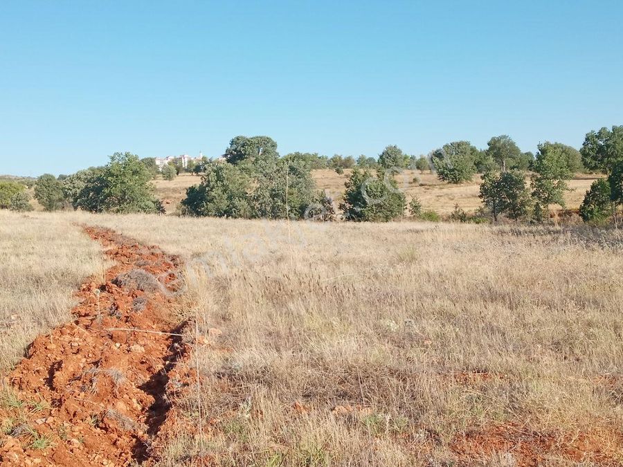 usak karahalli satilik arsa emlakjet