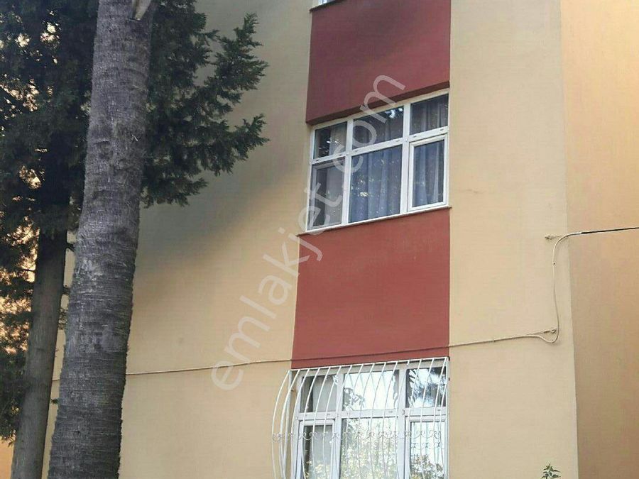Izmir Guzelbahce Yelki Mahallesi Kiralik Daire Ilanlari Ve Satilik Ev Fiyatlari
