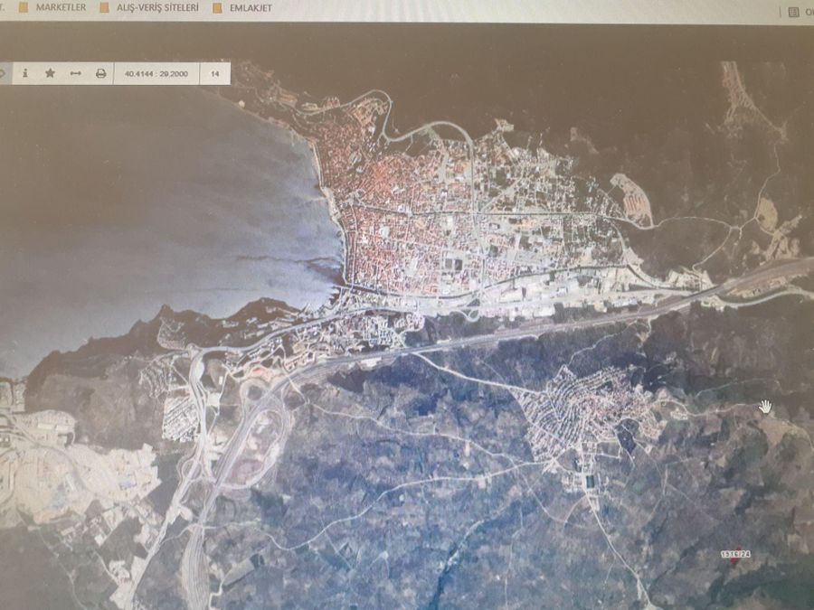 Bursa Gemlik Satilik Zeytinlik Ilanlari Ve Fiyatlari