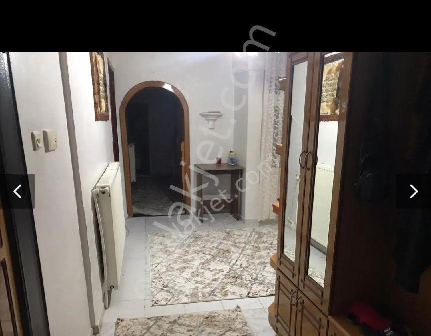 elazig merkez kultur mahallesi kiralik daire ilanlari ve kiralik ev fiyatlari