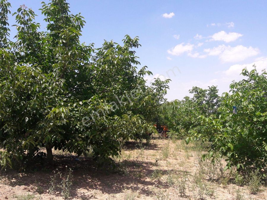 denizli sahibinden satilik arsa emlakjet