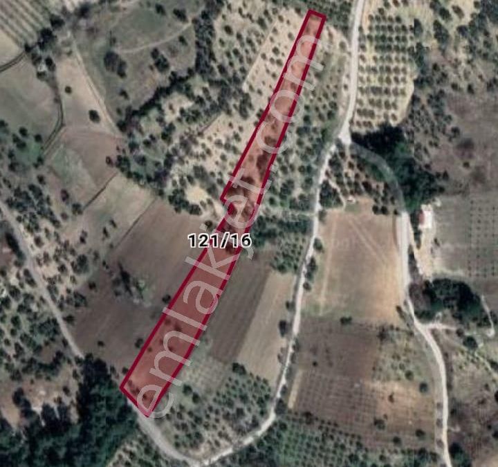 Izmir Buca Dogancilar Mahallesi Satilik Arsa Fiyatlari Ve Ilanlari