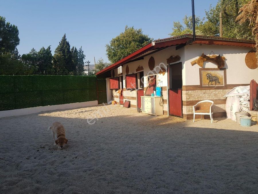 asmalı evler satılık