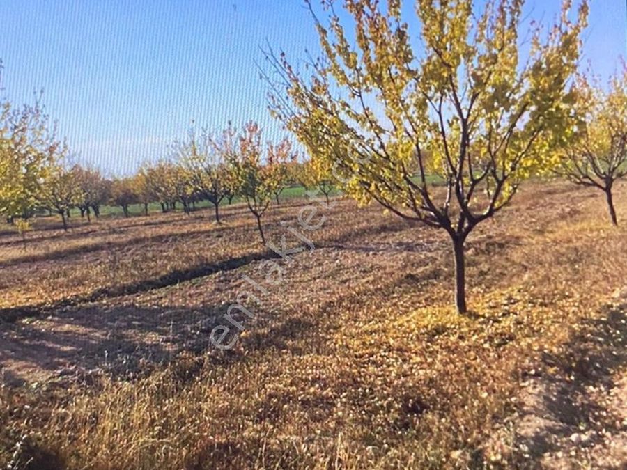 malatya yesilyurt sahibinden satilik arsa emlakjet