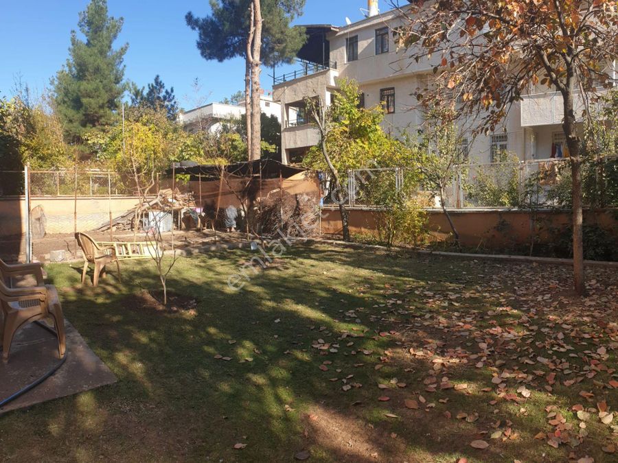 diyarbakir kiralik villa diyarbakir kiralik villa fiyatlari ve ilanlari diyarbakir kiralik villa diyarbakir kiralik villa fiyatlari ve ilanlari