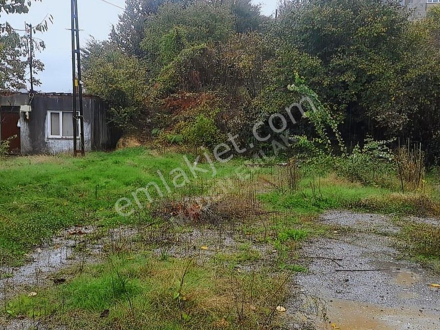 zonguldak satilik arsa fiyatlari ve ilanlari