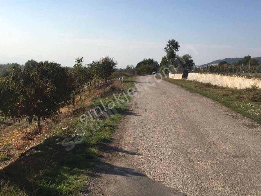 tokat erbaa satilik tarla ilanlari ve fiyatlari tokat erbaa satilik tarla ilanlari ve fiyatlari