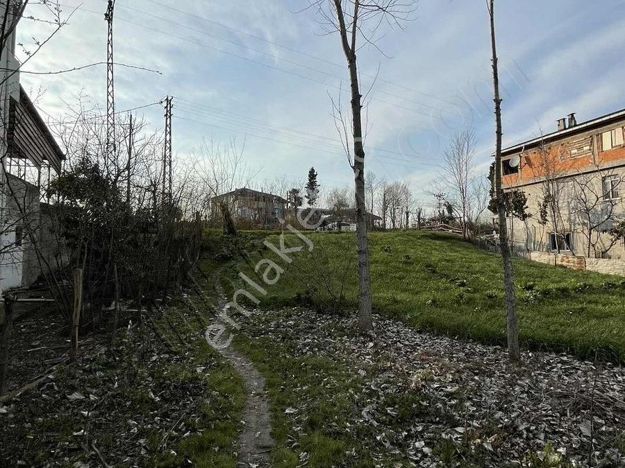 samsun carsamba satilik tarla ilanlari ve fiyatlari