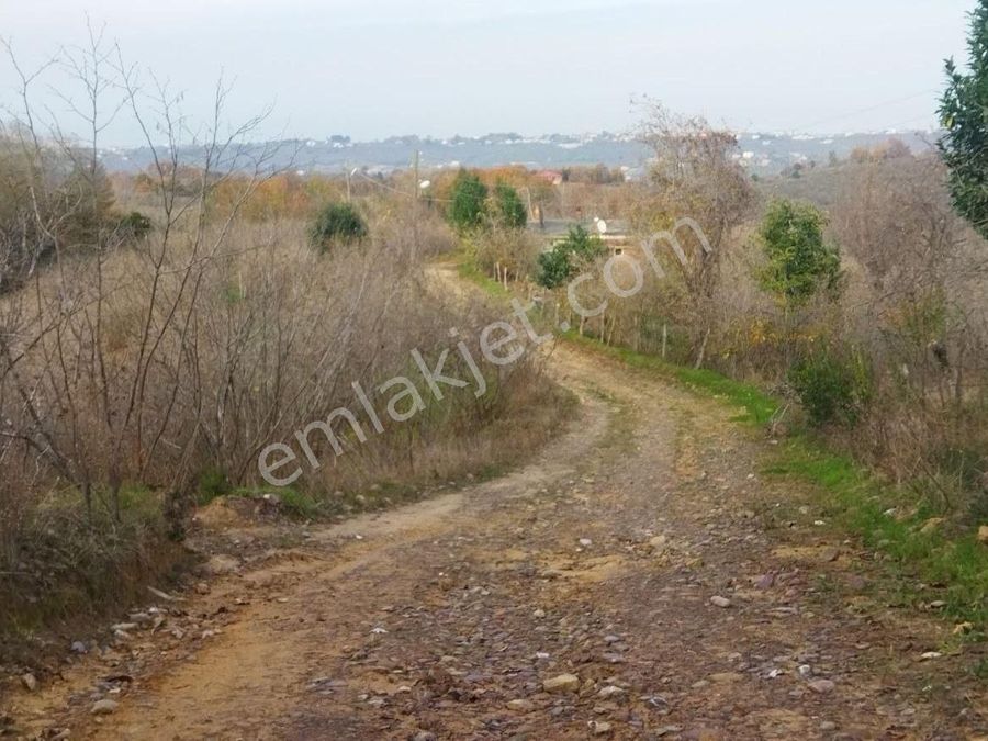 sakarya karasu satilik bag bahce emlakjet