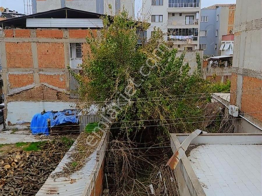 manisa turgutlu yeni mahallesi kiralik daire ilanlari ve satilik ev fiyatlari