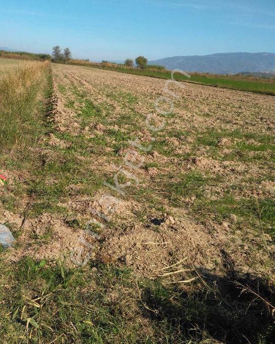 aydin yenipazar satilik arsa fiyatlari ve ilanlari