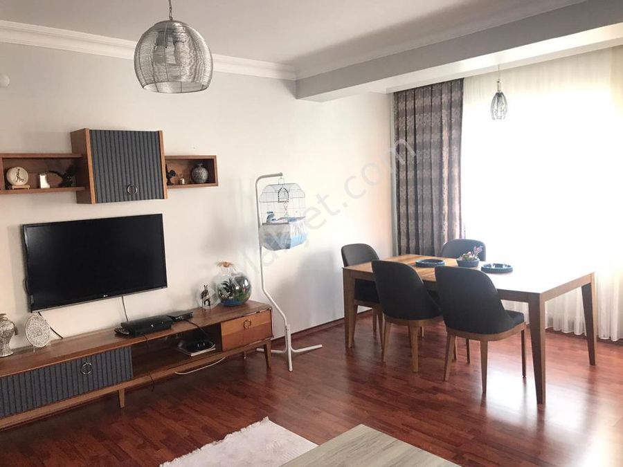 y3v1r3fsmftwom y3v1r3fsmftwom